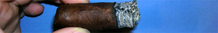 Arganese Maduro Chairman - 5