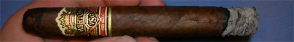 Ashton VSG