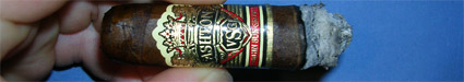 Ashton VSG