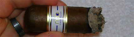 Nub 460 Cameroon - 4