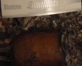Illusione Singulare Phantom 2010 – First Impressions