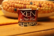 Xen by Nish Patel