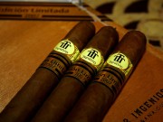 Trinidad INGENIOUS Edicion Limitada 2007
