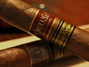 Tortuga Edicion Limitada 2011