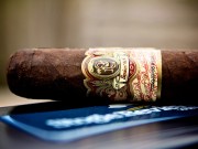 Padilla Black Bear