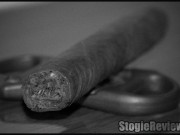 Famous Nicaraguan 3000 (Humidor Diving)