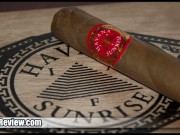 Havana Sunrise (Short Ashes)