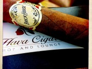 Top 7 Everyday Cigars – TGT Edition