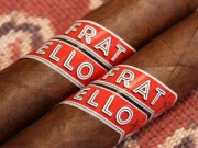 Fratello Robusto
