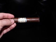 Jaime Garcia Reserva Especial Petit Robusto – Short Ashes