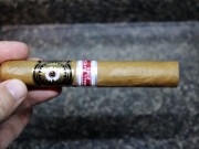 Perdomo Small Batch Ecuadorian Connecticut