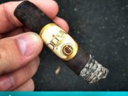 Out for a Walk with an Oliva Serie G Maduro