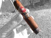H. Upmann Magnum 48 2009 Edicion Limitada