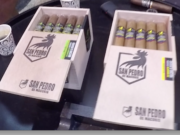 IPCPR 2018: Royal Agio San Pedro de Macoris