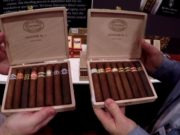 IPCPR 2018: Curivari