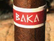 RoMa Craft Baka Bantu